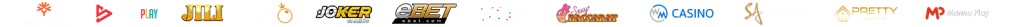 Partner Logo